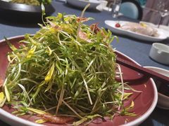 -湯記傳菜