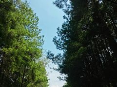 -山王坪喀斯特国家生态公园