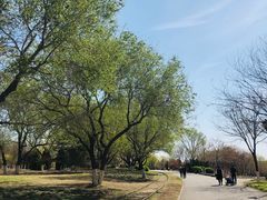 -永定河休闲森林公园