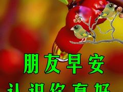-华哥新鲜猪精品美食