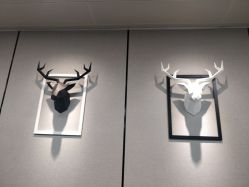 -MJ skin care国际皮肤管理中心