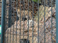 -大连森林动物园