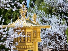 -龙口南山旅游景区