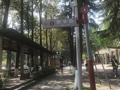 -四川大学(望江校区)