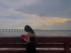 -宝安西湾红树林湿地公园