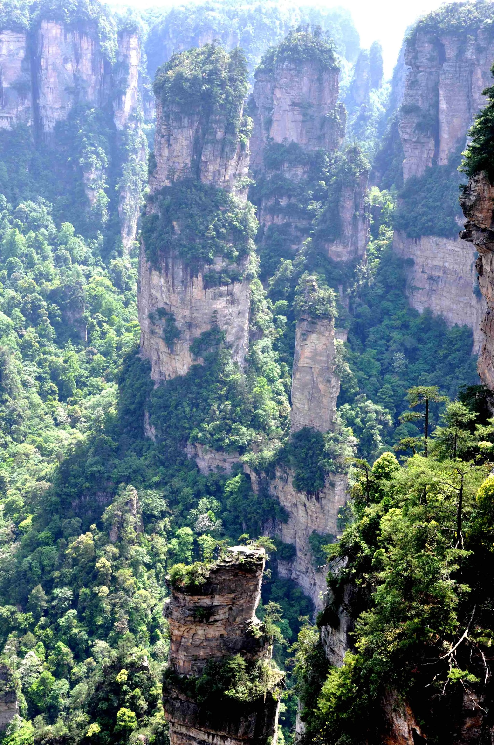 张家界是一个纯自然性风景区