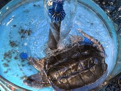 -魏铭鱼头捞饭(晋阳路店)