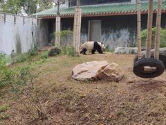 -广州动物园