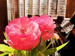 -wineapp葡萄酒餐吧(外滩金融中心店)