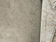 -兴隆文化园景区-兖州博物馆