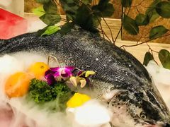-索菲特酒店·海鲜自助 ·聚餐厅