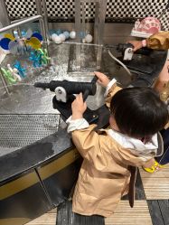 -meland club亲子乐园(北京芳圆里ID MALL店)