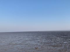 -南汇新城海滩