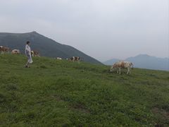 -灵山