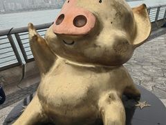 -星光大道