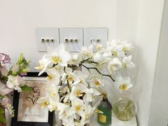 -Flower in(密渡桥店)