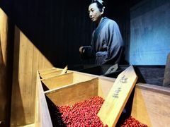 -九江市博物馆