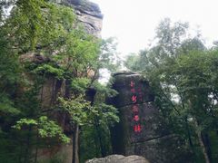 -汤旺河林海奇石景区