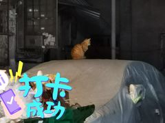 -桂萍特色牛筋牛杂(长堤街总店)