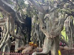 -横店影视城梦幻谷园区