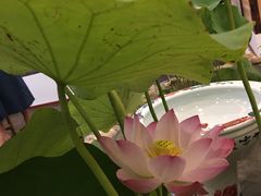 -龙源茶坊(白银路店)