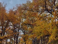 -崂山巨峰游览区