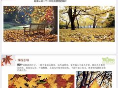-尼莫儿童美术(三阳路融科天城校区)