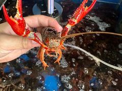 -佳兴饭店(荣川路店)