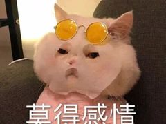 -Nirvana Cafe&Bar(北仓文创街区店)