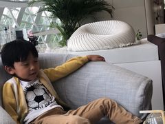 -凤凰中心