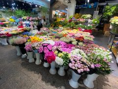 -双季花艺园艺市场(浦东店)