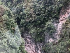 -龙水峡地缝景区