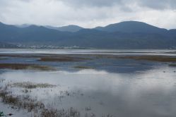 -纳帕海依拉草原