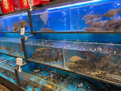 水产区-盒马鲜生(宝地店)