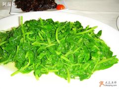豆苗-海派铜锣湾(打浦路店)