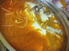 -弘烨 贵州酸汤 鱼火锅(东财店)