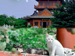 -刘公岛景区