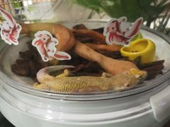 -杭州平安悦坊 PAFC LIVING