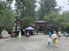 -合肥滨湖国家森林公园