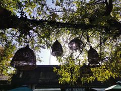 -西溪南古村落景区