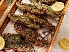 -汕头龙光喜来登酒店