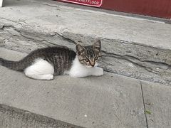 -南门小馆·清真(国贸商城店)