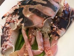 -协成海鲜火锅(海洋花园店)
