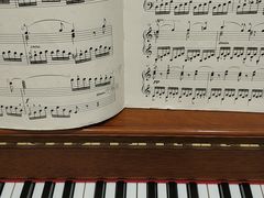 -知音艺术教育培训·钢琴培训·音乐培训(河西金鹰世界校区)