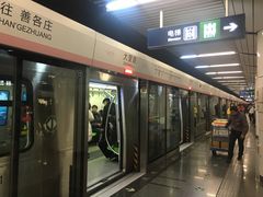 -大望路(地铁站)