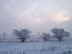 iphone_upload_pic-雾凇岛