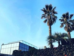 -Cafe Aewol Monsant