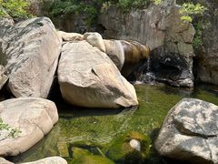 -崂山九水游览区