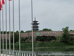 -洋湖国家湿地公园