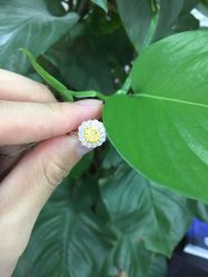 -威德钻石-克拉钻大本营(南京东路店)